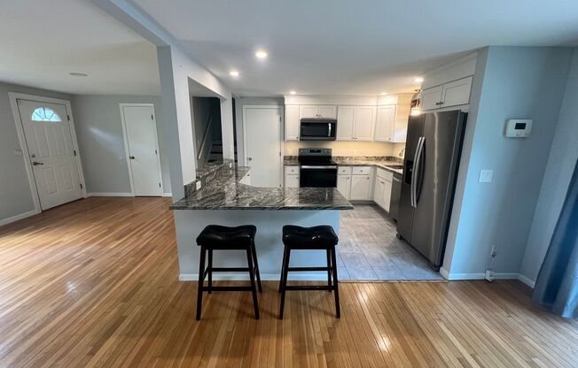 Single Family, Raised Ranch With Many Updates!