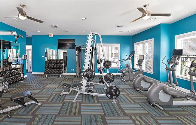 a gym with a lot of exercise equipment