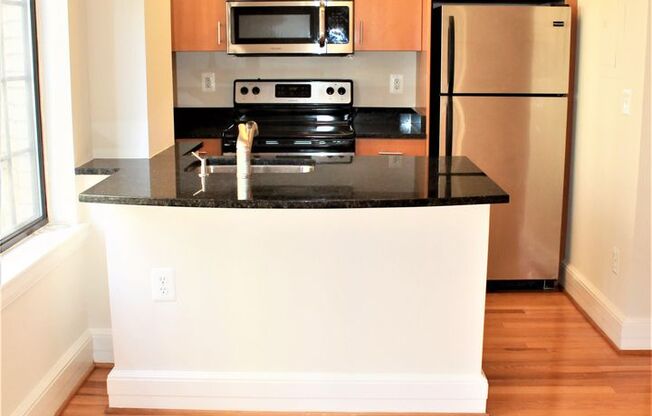 1 bed, 1 bath, 505 sqft, $2,450, Unit 220