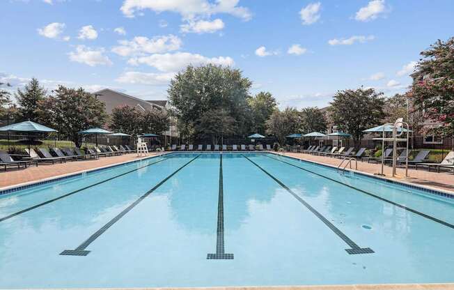 A large outdoor swimming pool with sun loungers on the side.