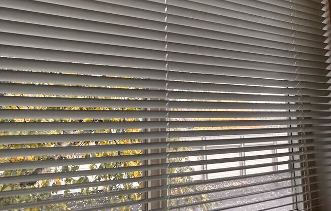 1 bed, 1 bath, 660 sqft, $1,250, Unit W - 043