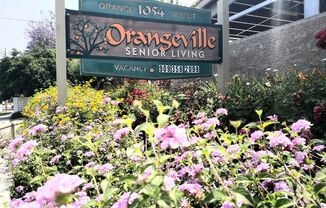 Orangeville Senior Apartments