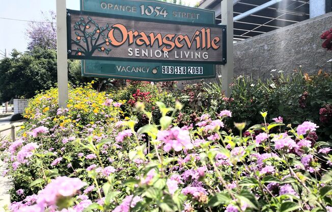 Orangeville Senior Apartments