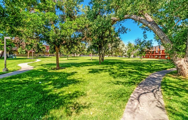 2 beds, 1 bath, 785 sqft, $1,100, Unit A-12