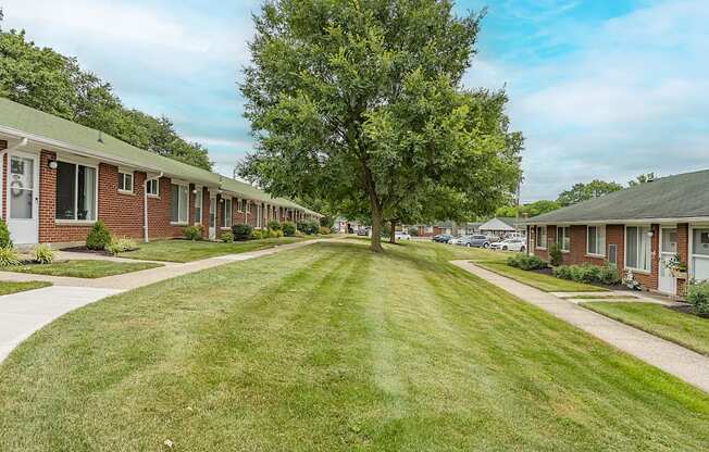 A tree in the middle of a grassy area separates a row of houses.