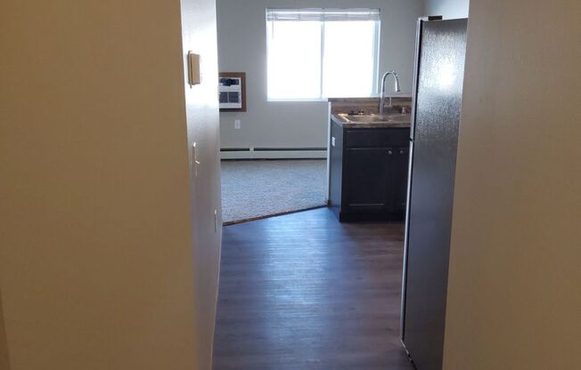 Studio, 1 bath, 529 sqft, $785, Unit 216