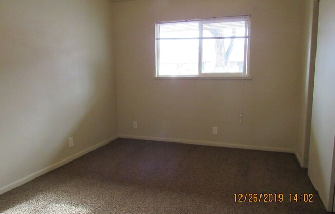 1 bed, 1 bath, $1,200, Unit 333 Park Ave # 2