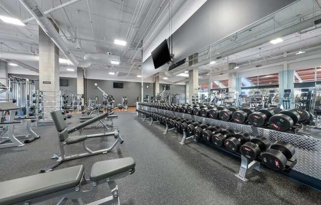 a gym with rows of weights and cardio equipment