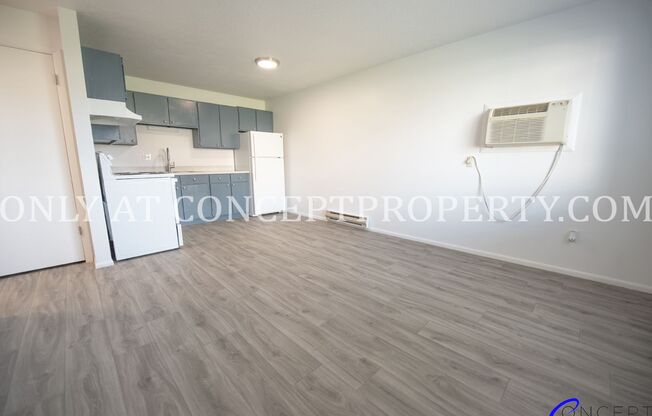 1 bed, 1 bath, 480 sqft, $919, Unit 139