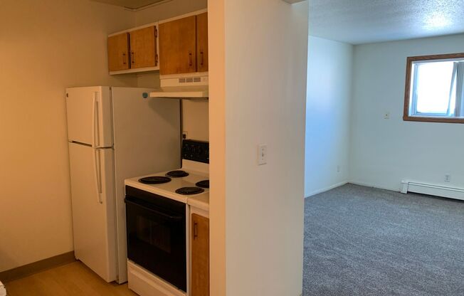 2 beds, 1 bath, 550 sqft, $725, Unit 1119-101