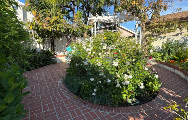 1b/1b at Plams / Kelton Ave, Los Angeles CA