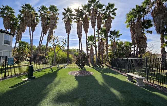 A sunny day at a park with palm trees and a bench.