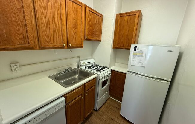 Studio, 1 bath, 308 sqft, $1,175, Unit Bayard Manor 102