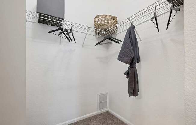 Oversized closets - Emmersyn at Lone Tree