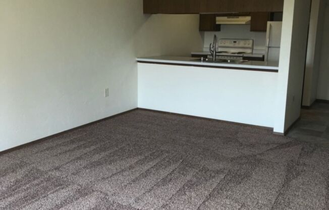 Village Park Apartments-Appleton