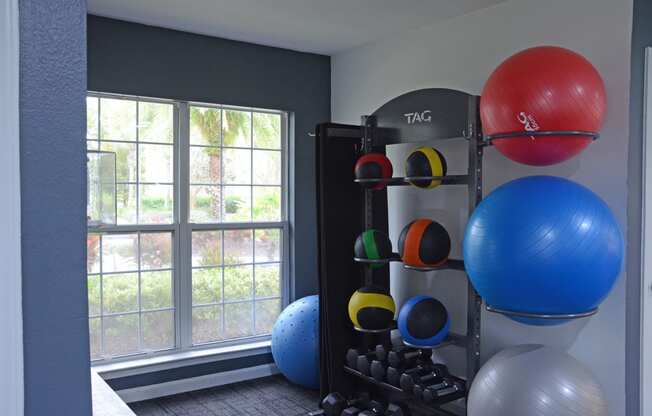 Weights at The Fountains at Deerwood Apartments, Jacksonville