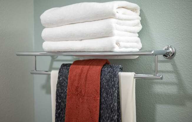 The Byway | Model #105 The Finest Details - Additional Towel Storage in Bathroom