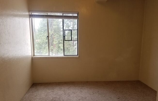 1 bed, 1 bath, 475 sqft, $1,295, Unit 501