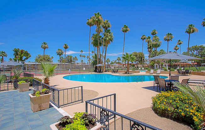 a resort style swimming pool with palm trees in the background