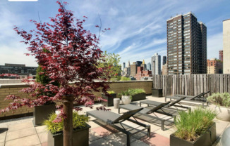 2 beds, 1 bath, 895 sqft, $5,500, Unit 2E