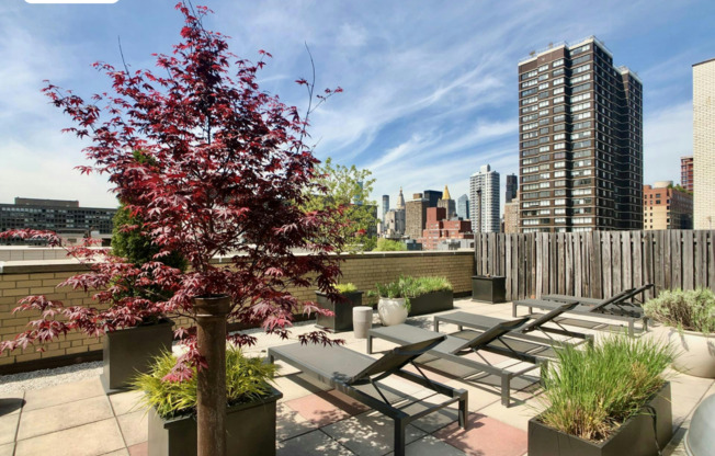 2 beds, 1 bath, 895 sqft, $5,500, Unit 2E