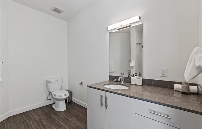 A bathroom with a toilet, sink, and mirror.