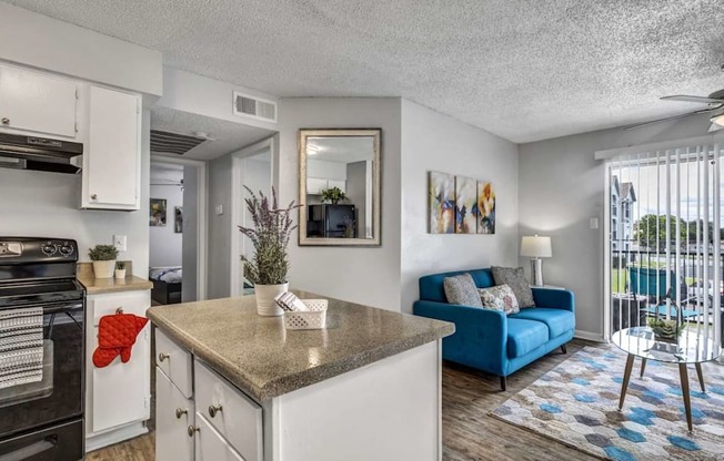 Kitchen And Living Area at Viva Max, San Antonio, TX  