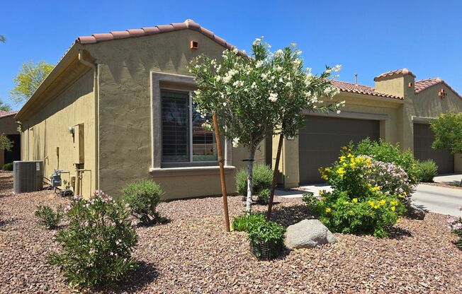 55+ Amenity rich Pebble Creek community!