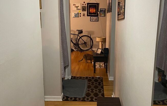 1 bed, 1 bath, $2,025, Unit 450
