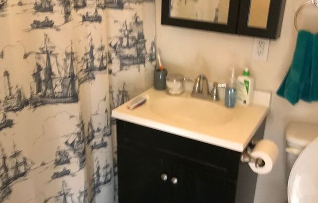 1 bed, 1 bath, 528 sqft, $1,300, Unit 206