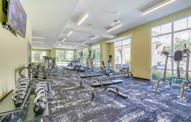 the gym is equipped with a variety of weights and cardio equipment
