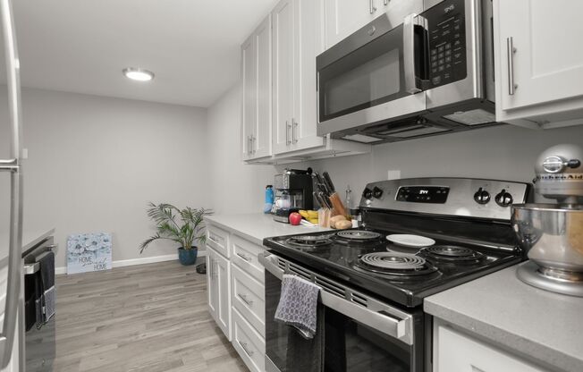 Fully Renovated Modern Apartments