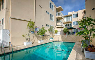 Apartment Building in Los Angeles Pool