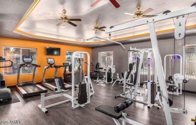 1 bed, 1 bath, $1,200