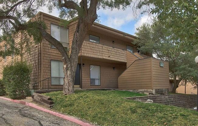 Alamo Heights Treehouse