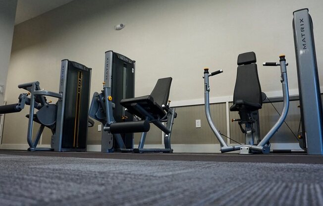 Strength training equipment is also part of the 24 hour fitness center.