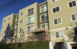 Spacious 1 Bed/1 Bath Condo in Wallingford/Fremont