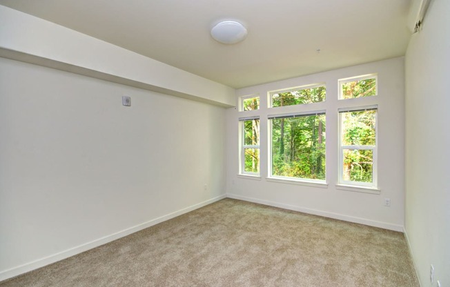 9-Foot Ceilings at Emerald Crest, Bothell, 98011