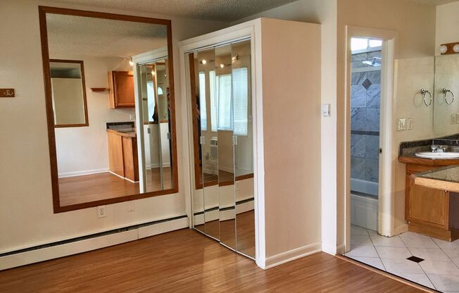 Studio, 1 bath, 250 sqft, $1,195, Unit 208