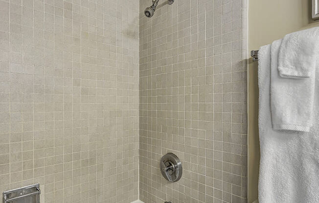 a bathroom with a shower and a towel rack