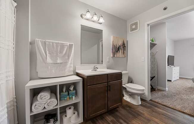 a bathroom with a sink and a toilet and a mirror