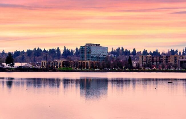 Studio, 1 bath, 346 sqft, $1,650, Unit 410-205