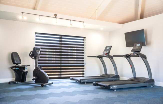 two treadmills and a tv in a gym room