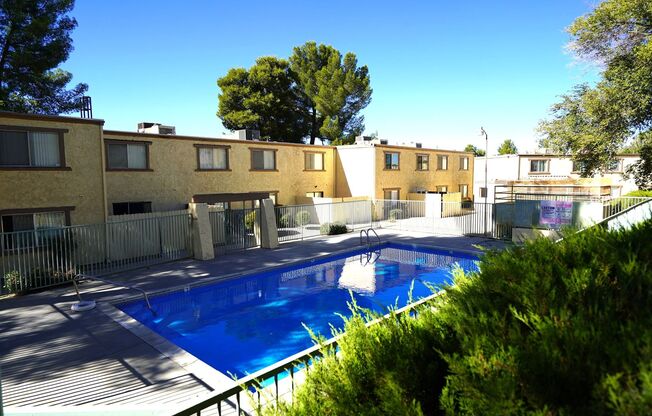 1 bed, 1 bath, 576 sqft, $1,250, Unit Unit 239