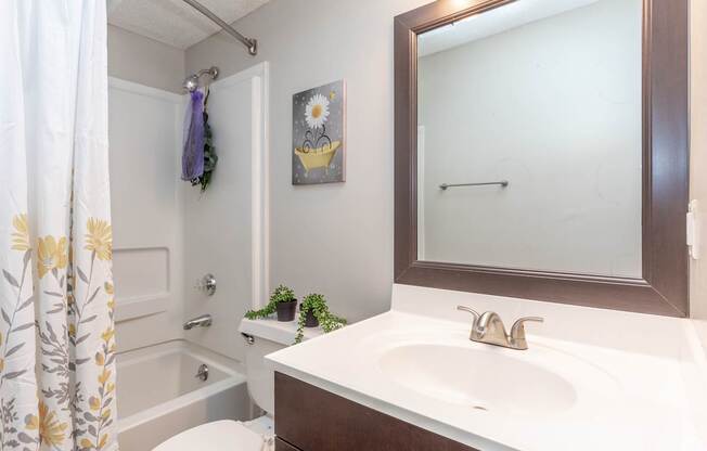 A bathroom with a white sink and a mirror.