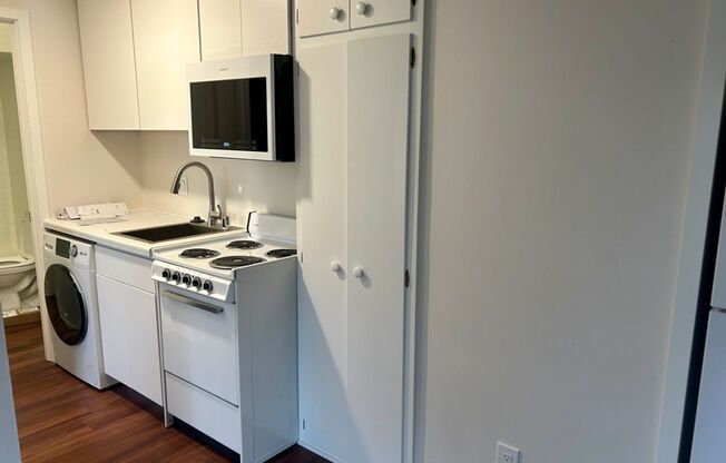 1 bed, 1 bath, 350 sqft, $1,295, Unit #3