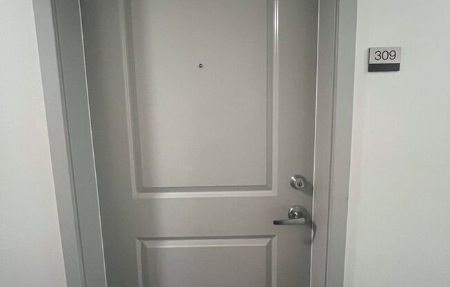 Studio, 1 bath, 238 sqft, $1,025, Unit 309 MFTE