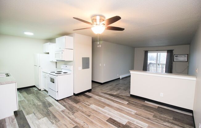 3 beds, 1 bath, 973 sqft, $1,200, Unit 3610-110