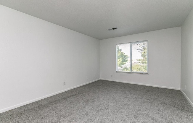 Carpeted Bedroom With Big Window