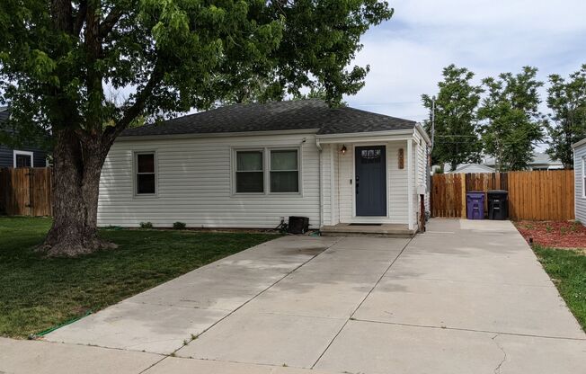 FABULOUS UPGRADED HOME IN CHAFFEE PARK INCL. WATER! MOVE-IN FEB. 1st!